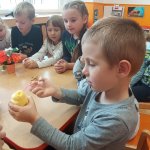 phoca_thumb_m_zajci a zelenina 8 Fotogalerie